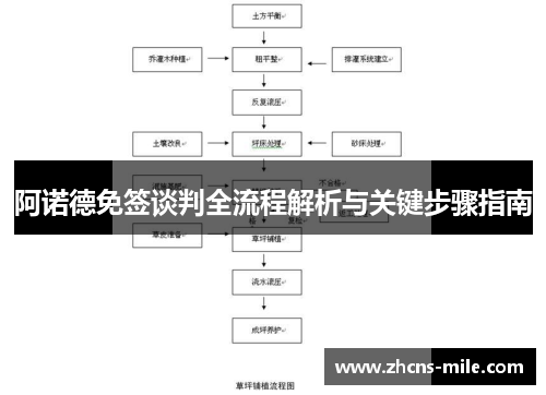 阿诺德免签谈判全流程解析与关键步骤指南 阿诺德免签谈判全流程解析与关键步骤指南