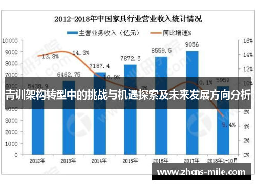 青训架构转型中的挑战与机遇探索及未来发展方向分析